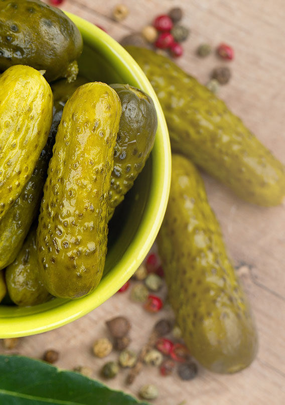 burger dill gherkins
